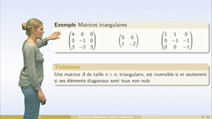 Matrices - partie 6 : matrices triangulaires, transposition, trace, matrices symétriques