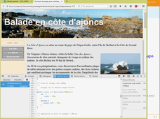 CSS compléments : mediaqueries, exemples