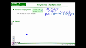 Onaag : Polynômes factorisation