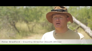 Wildlife Conservation and Childcare in South Africa GVI UK.mp4